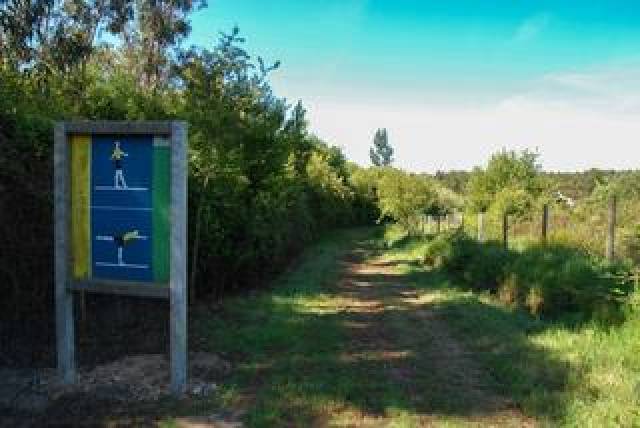 Desportos y Entretenimento