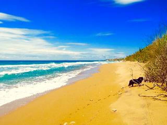 Praia