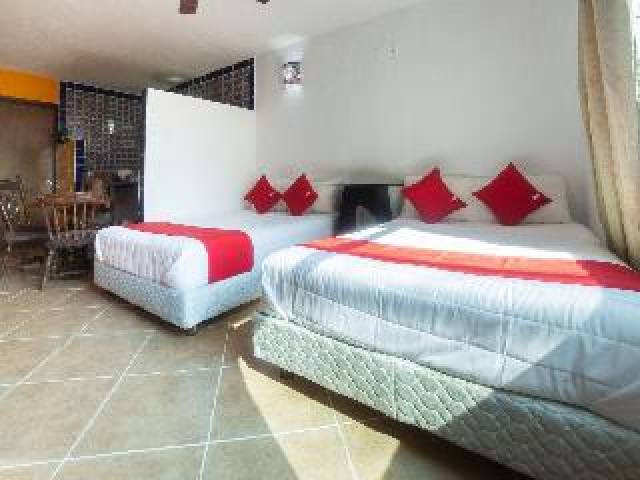 Quarto