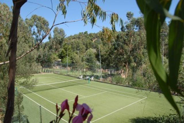 Desportos y Entretenimento
