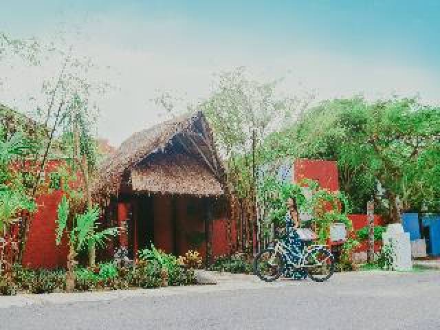 Vista General