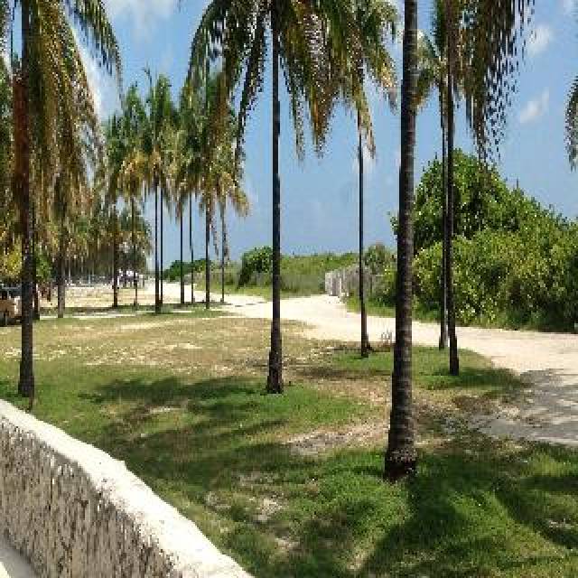 Praia