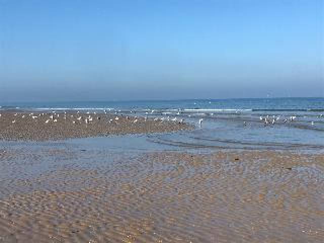 Praia