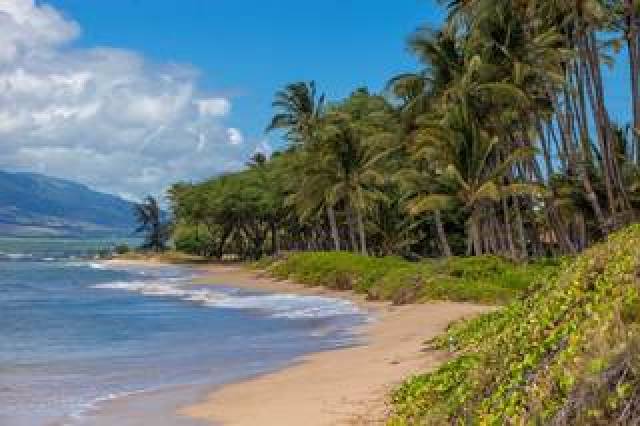 Praia