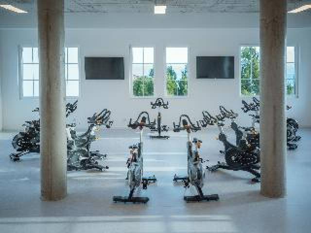 Desportos y Entretenimento