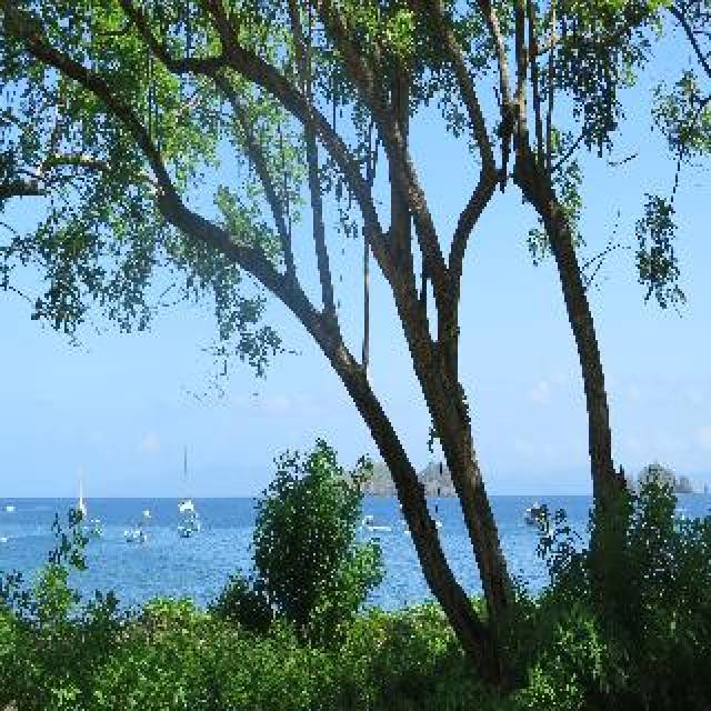 Praia