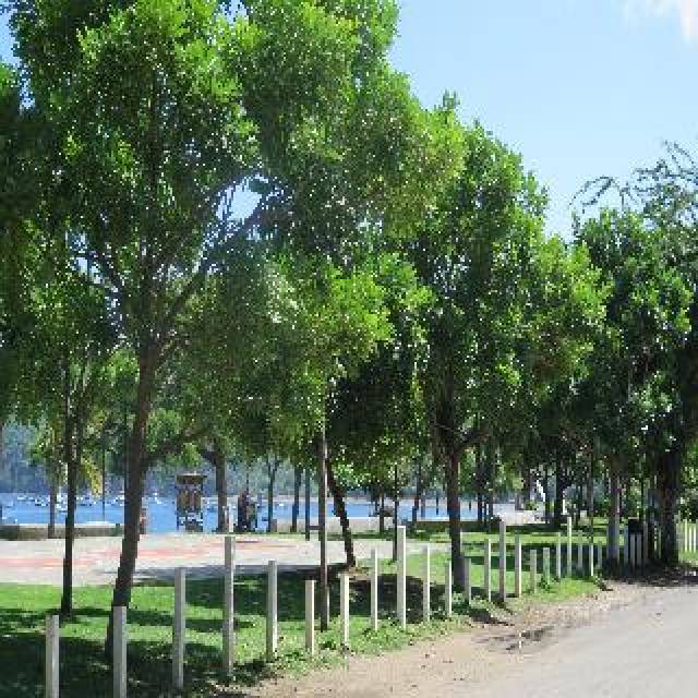 Praia