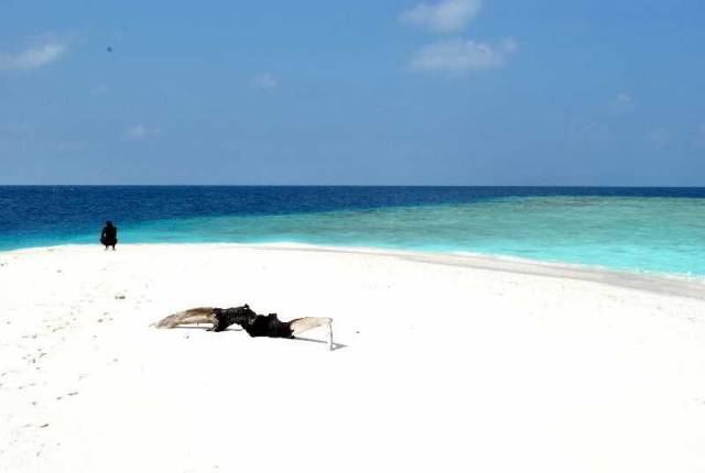 Praia