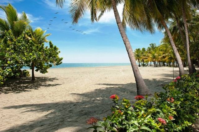 Praia