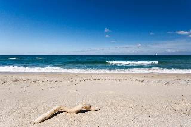 Praia