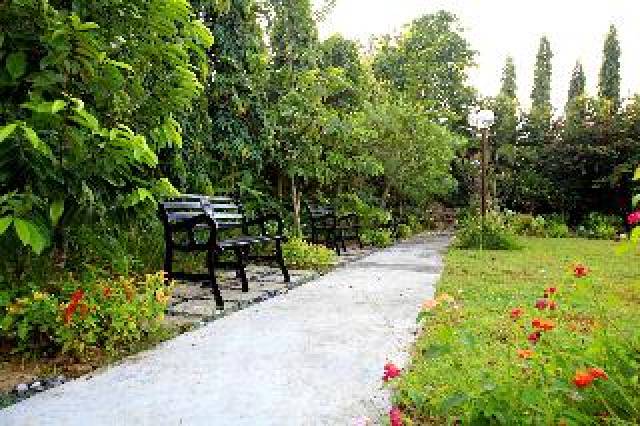 Terraço