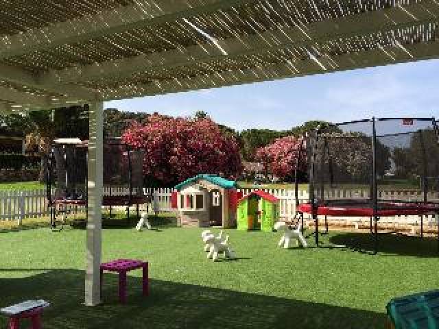 Desportos y Entretenimento