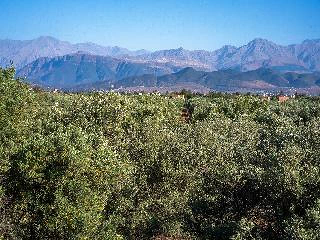 Vista General