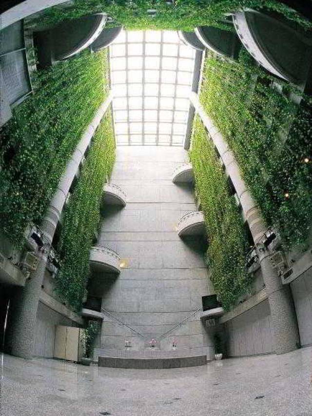 Vista General