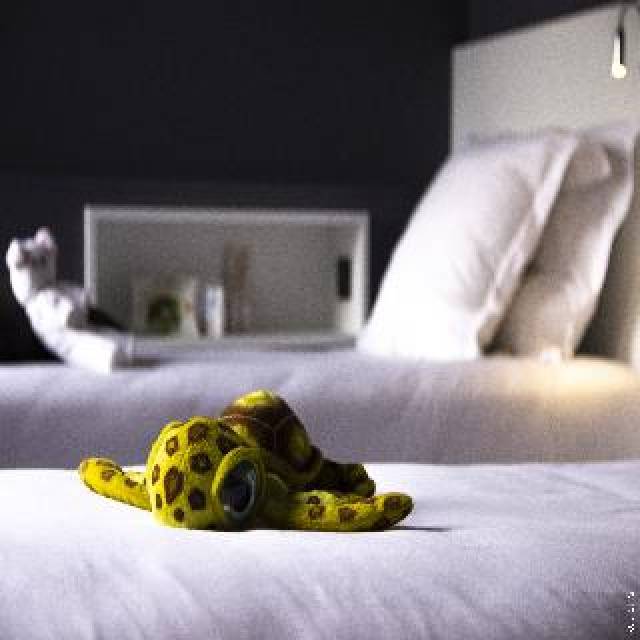 Quarto