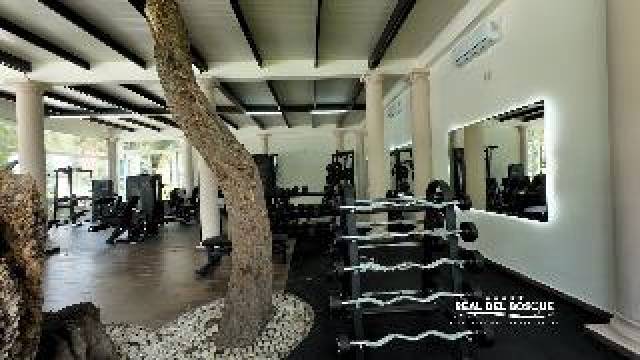 Desportos y Entretenimento