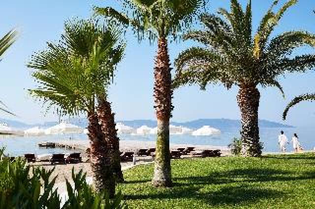 Praia
