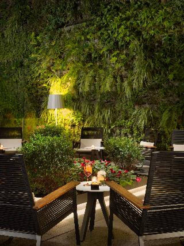 Terraço