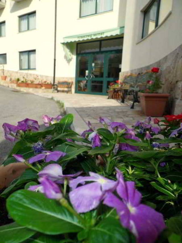Vista General