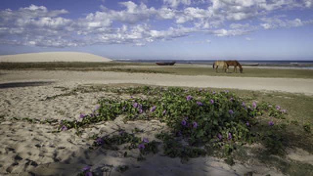 Praia
