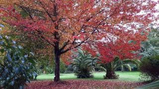 Vista General