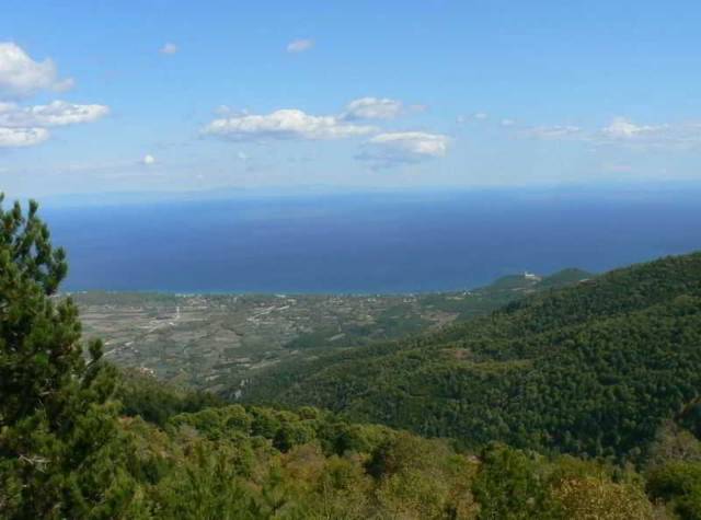 Vista General