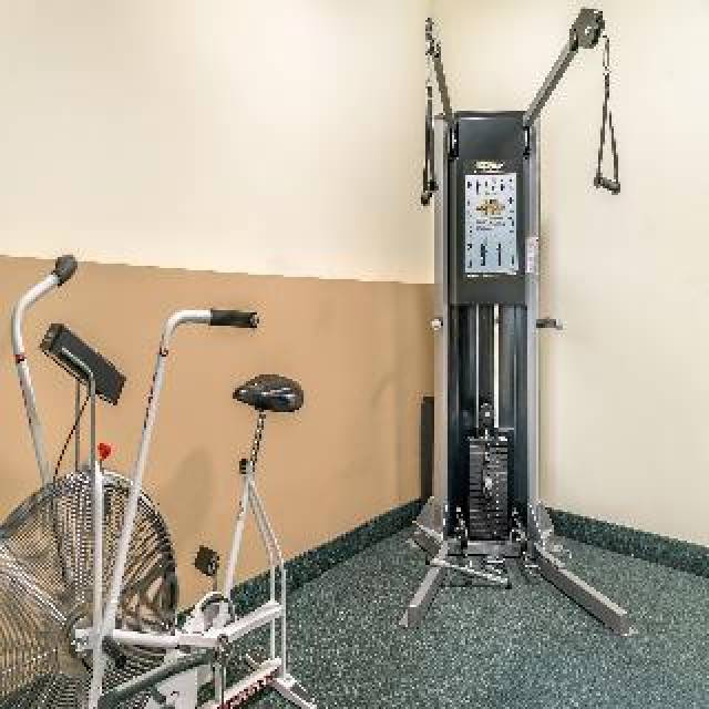 Desportos y Entretenimento
