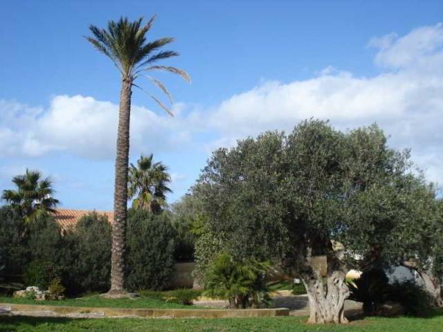 Vista General