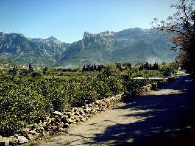 Vista General
