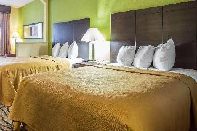 Quarto