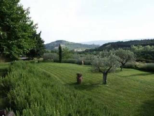 Vista General