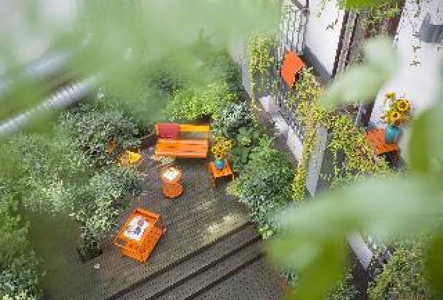 Terraço