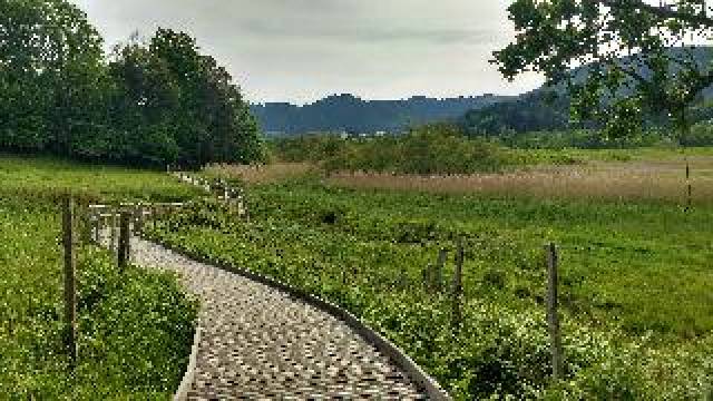 Desportos y Entretenimento
