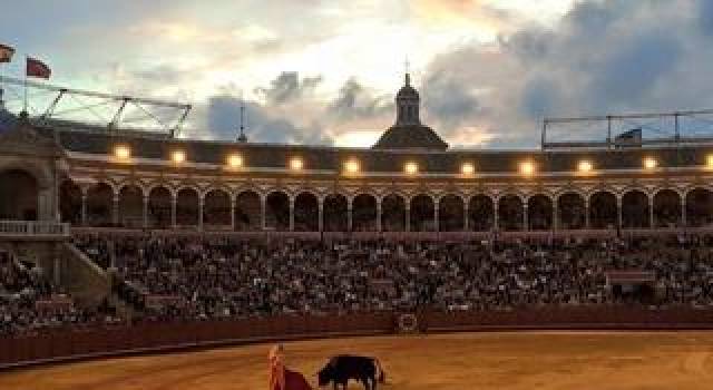 Desportos y Entretenimento