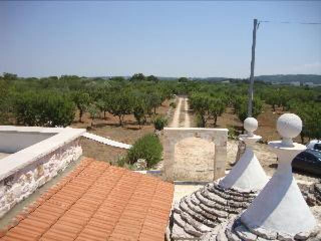 Vista General
