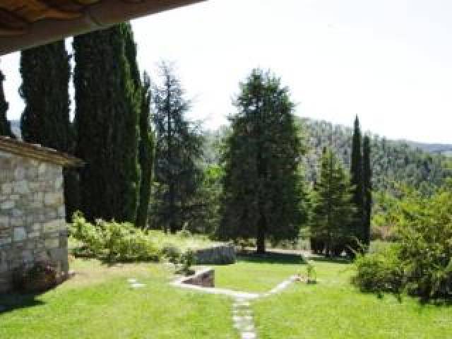 Vista General