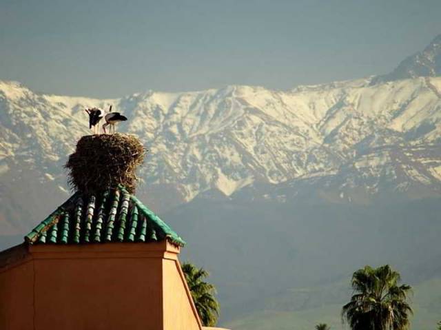 Vista General