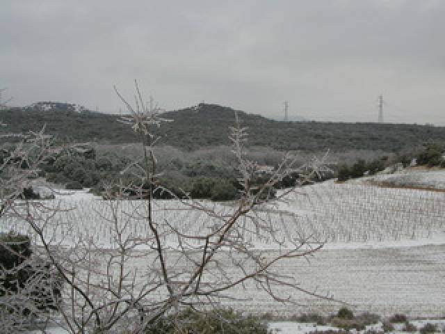 Vista General