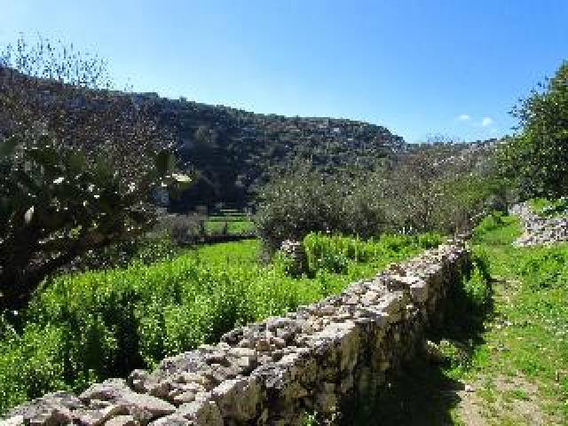 Desportos y Entretenimento