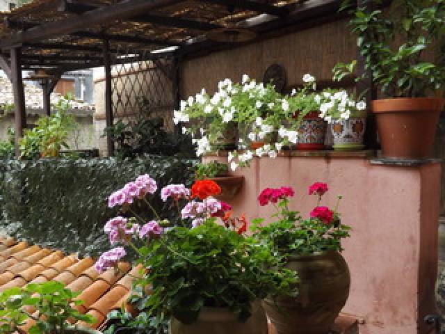 Terraço