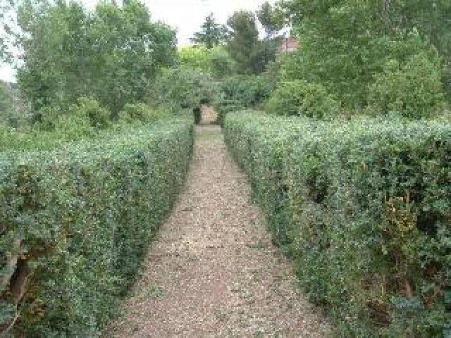 Vista General