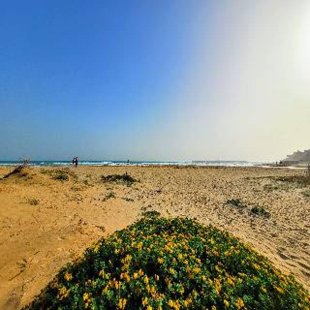 Praia