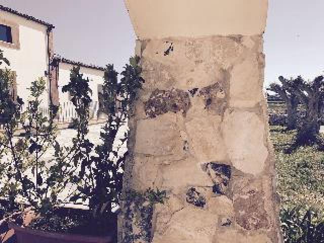 Desportos y Entretenimento