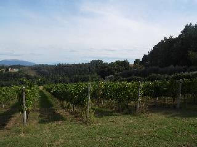 Vista General