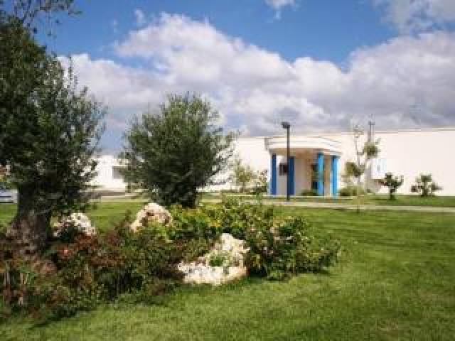 Vista General