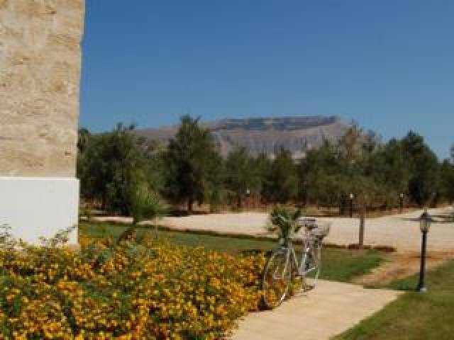 Vista General