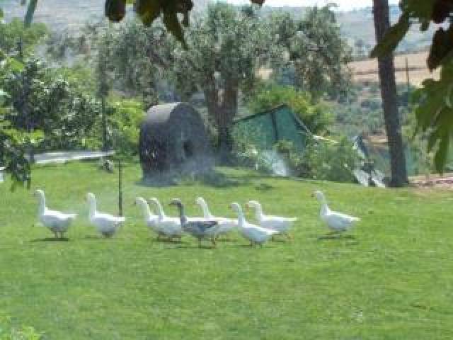 Vista General