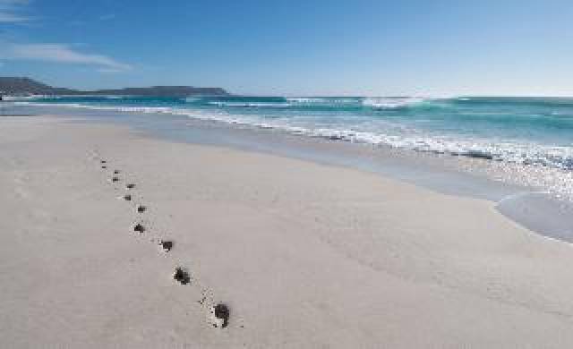 Praia