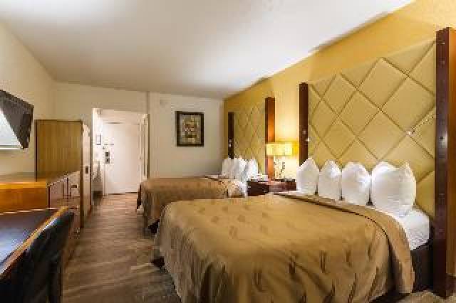 Quarto