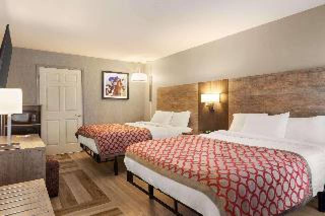 Quarto